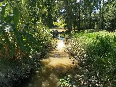 Casa Quinta  en Venta en Canal Arana, Zona Delta, San Fernando
