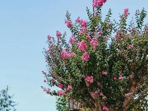 Terreno en Venta 45  mts Fondo