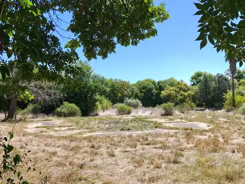 Terreno en Venta, FOS 60