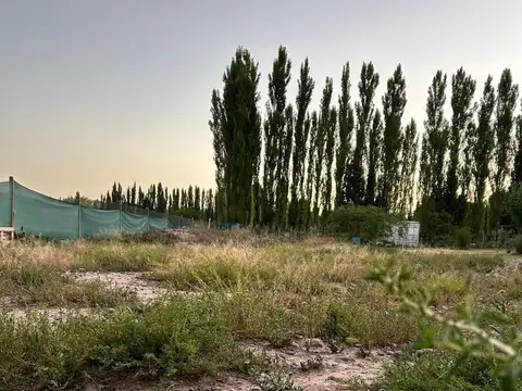 terrada 100