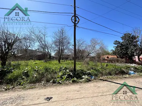 Terreno en Venta 12  mts Frente