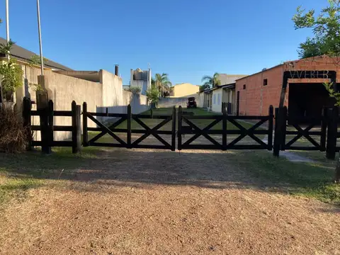 Primeros Colonos 100