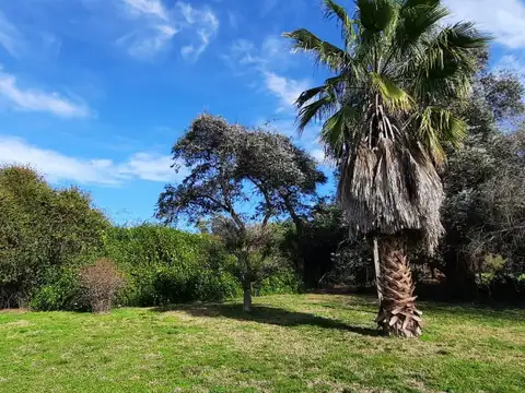 Bv. Doctor Domingo Cabred 1550 1500