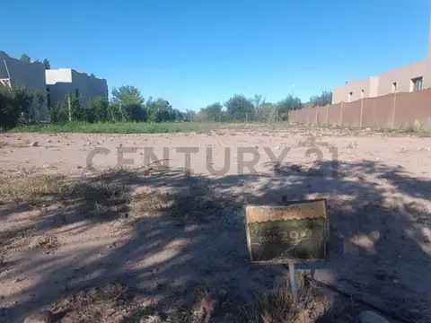 Olavarría 1800, Piso 0