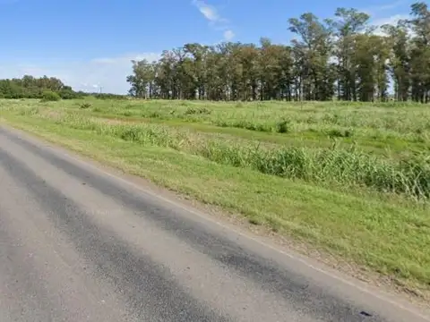 Ruta Provincial 2 - KM 195