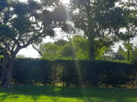 Terreno en Venta 16  mts Frente