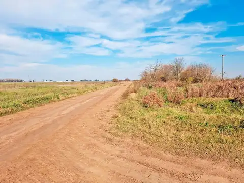 265 has de campo agricola en Chacabuco