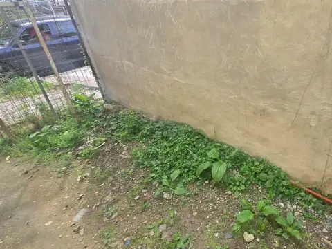 Casa en Jose León Suarez