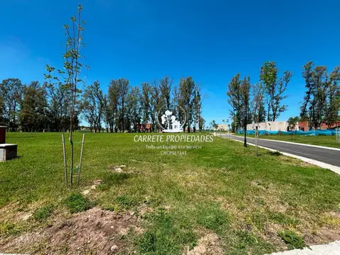 Terreno / Lote en venta de 510m2 ubicado en Pilar del Este. Santa Sofia. Pilar 100