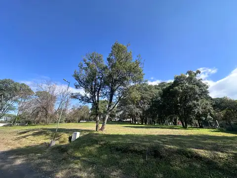 Terreno en Venta 17  mts Frente