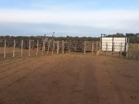 Casa Campo  en Alquiler en Nueva Galia, Gobernador Dupuy, San Luis
