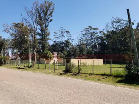 Terreno en Venta en Punta Ballena, USD 380.000