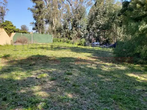 Terreno en Venta 42  mts Frente