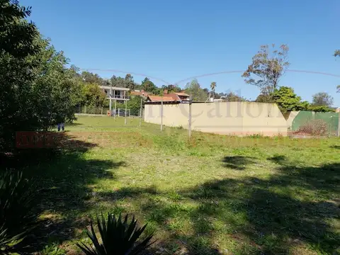 Av. Del Parador Viejo 2000