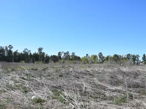 TERRENOS EN LUJAN SOBRE RUTA NACIONAL 5