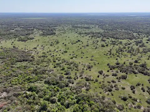 4200 hectáreas novilleras para recría o engorde a campo natural - Los Tábanos - Vera - Santa Fe