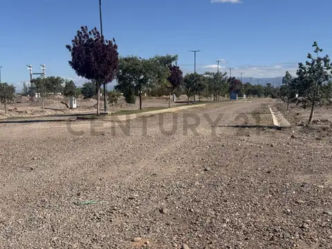 Terreno en Venta 25  mts Fondo