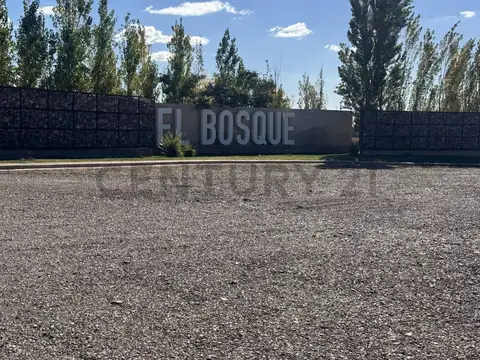 Don Bosco 100, Piso 0