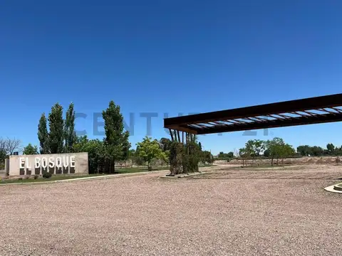 TERRENOS EN VENTA BARRIO PRIVADO EL BOSQUE – RODEO DEL MEDIO