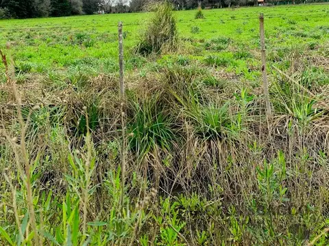 Terreno en Venta en El Remanso, USD 45.000