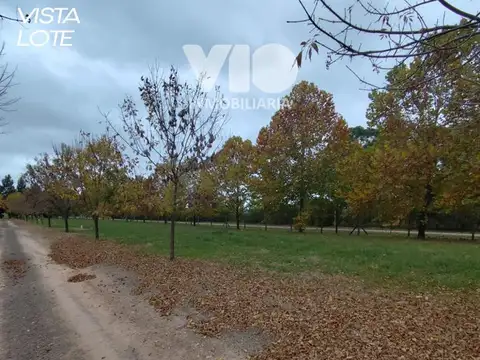 Terreno en Barrio Privado - Termas Villa Elisa