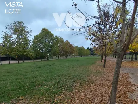 Terreno en Venta en Villa Elisa, USD 30.000