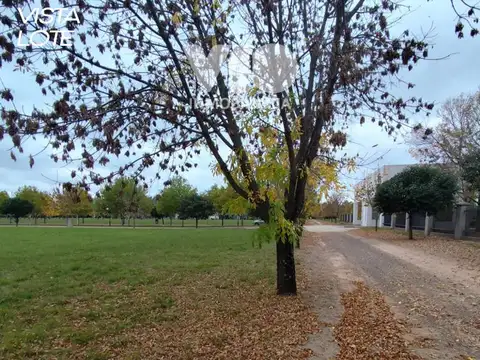 Barrio Aguas Dulces