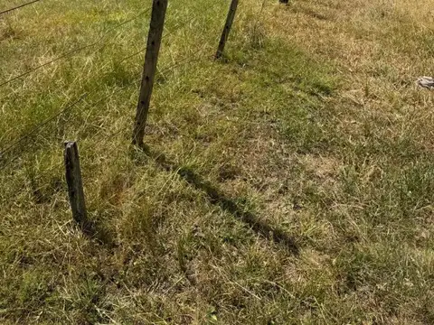 Campo en Venta de 77  ha