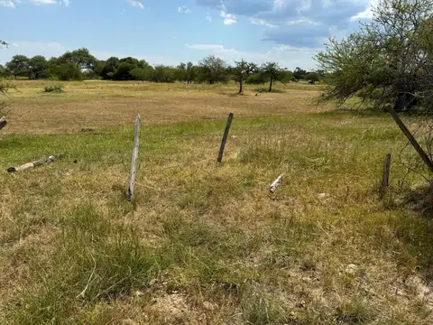 Campo en Venta Ganadero