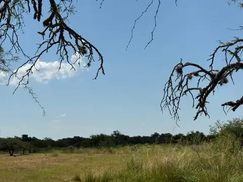 Campo en Venta Ganadero