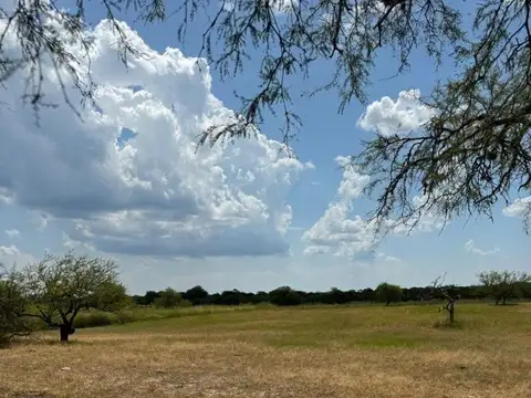 Campo en Venta de 77  ha