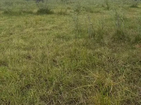 Campo de 77 hec. ganaderas Pueblo Libertador  Corrientes