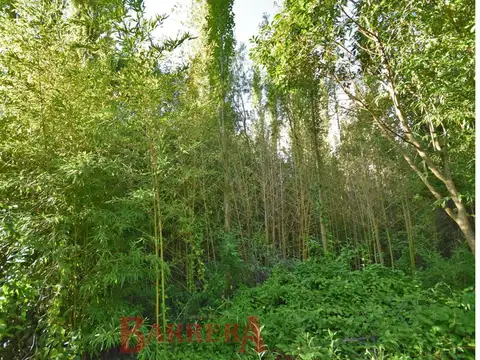 Terreno en Venta de 1791,0 m2