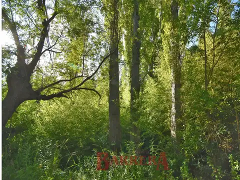 Terreno en zona residencial a metros country Chumamaya