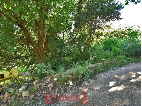 Terreno en Venta 19  mts Frente