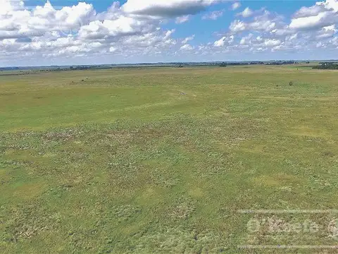 Chascomus 500 Has en Venta. Campo Ganadero, armado, con 20 % de aptitud Agrícola. Para producir y disfrutar