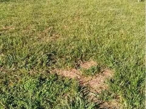 Terreno en Venta en Casablanca, USD 30.000