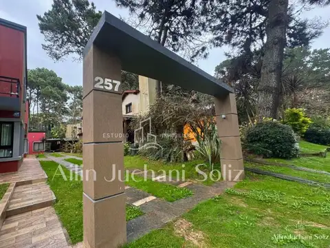 las camelias  al 200