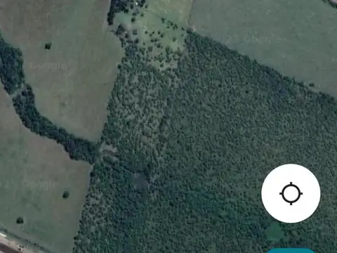 VENTA 14 HAS.- VILLAGUAY