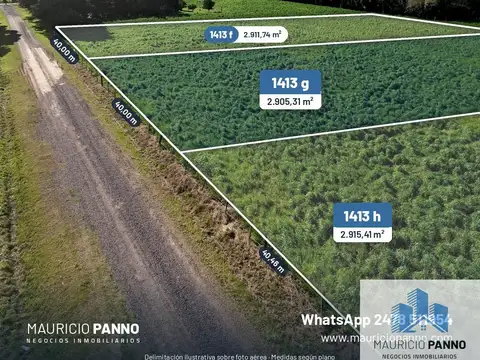 Lapacho, La Luisa, Capitán Sarmiento, Provincia de Buenos Aires, 100