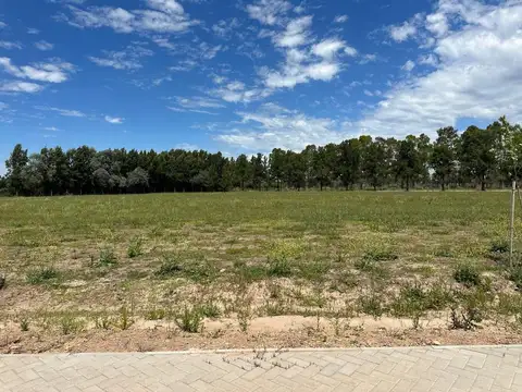 Terreno en Venta 50  mts Fondo