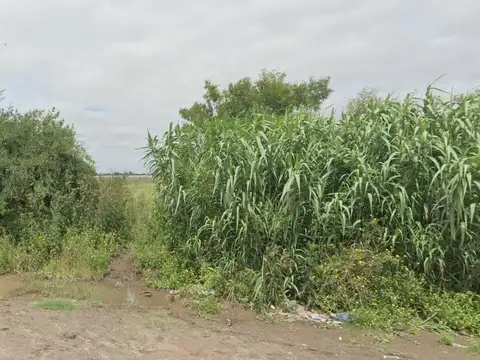 Campo en La Plata 179 y 419