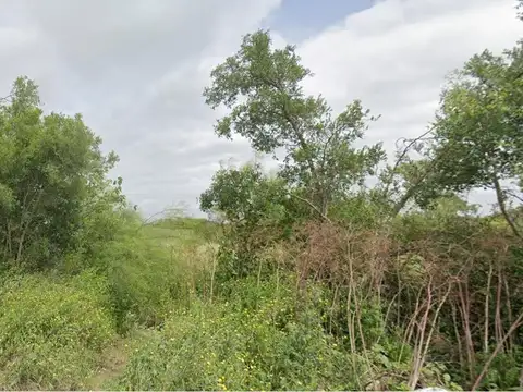 Campo en La Plata 179 y 419