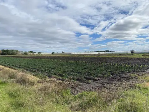 CAMPO EN VENTA LA PLATA, ARANA .