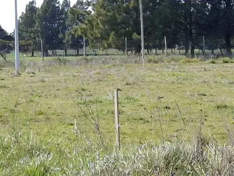 Terreno en Venta en General Juan Madariaga, USD 24.000