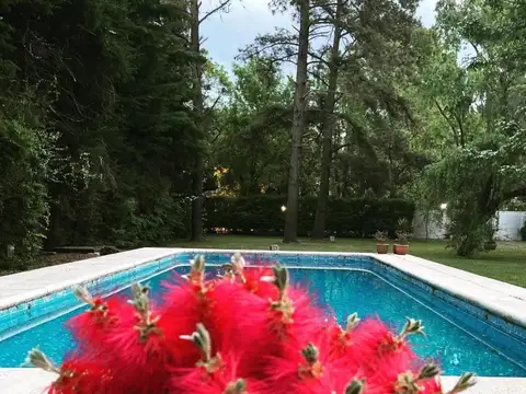 Links e/ Belgrano y Alberdi