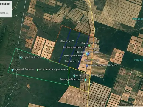 Campo Mixto (Agrícola y ganadero) 9.000 Hectáreas