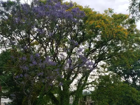 RP338, Mundo Nuevo, Tucumán