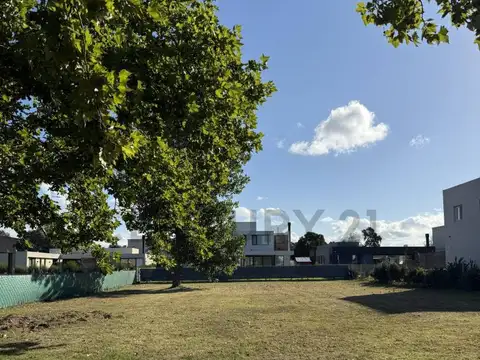 Terreno en Venta en Altos De San Lorenzo, USD 72.000