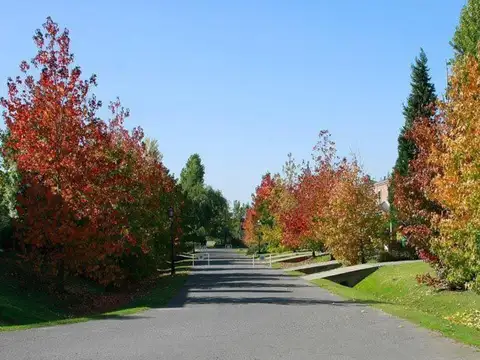 Hermoso Lote En Venta En Barrio Santa Elena, Pilar Del Este